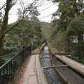DSC01754.JPG