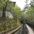 DSC01756.JPG