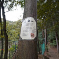 DSC01759.JPG