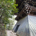 DSC01762.JPG