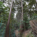 DSC01763.JPG