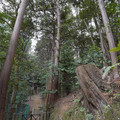 DSC01764.JPG