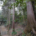 DSC01766.JPG