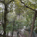 DSC01767.JPG