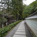 DSC01768.JPG