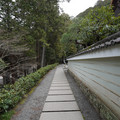 DSC01769.JPG