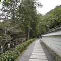 DSC01770.JPG