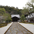 DSC01776.JPG