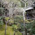 DSC01777.JPG