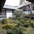 DSC01778.JPG