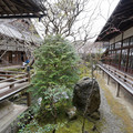 DSC01779.JPG