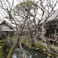 DSC01780.JPG