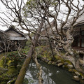 DSC01781.JPG