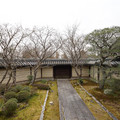 DSC01789.JPG