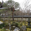 DSC01790.JPG
