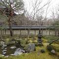 DSC01791.JPG