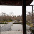 DSC01793.JPG