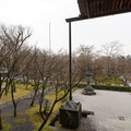 DSC01794.JPG
