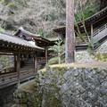 DSC01795.JPG