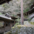 DSC01796.JPG