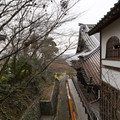 DSC01797.JPG