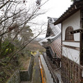 DSC01798.JPG