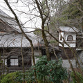 DSC01799.JPG
