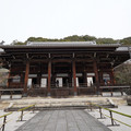 DSC01804.JPG