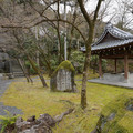 DSC01805.JPG