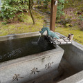 DSC01807.JPG