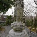 DSC01808.JPG