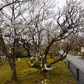 DSC01810.JPG