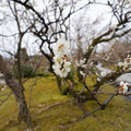 DSC01811.JPG