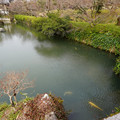 DSC01813.JPG