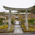 DSC01815.JPG