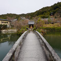 DSC01816.JPG