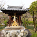 DSC01817.JPG