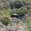 DSC01819.JPG