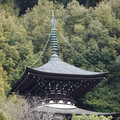 DSC01822.JPG