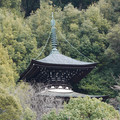 DSC01823.JPG
