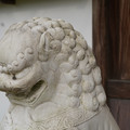 DSC01826.JPG