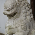 DSC01827.JPG