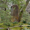 DSC01830.JPG