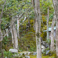 DSC01833.JPG