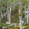 DSC01834.JPG