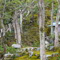 DSC01835.JPG