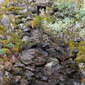 DSC01836.JPG