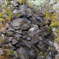 DSC01837.JPG