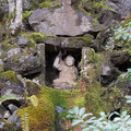DSC01838.JPG