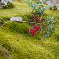 DSC01841.JPG